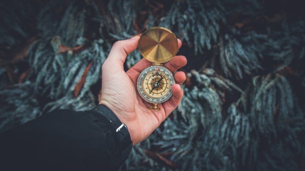 From overwhelmed to in-control: A bid manager’s guide to smarter tender discovery